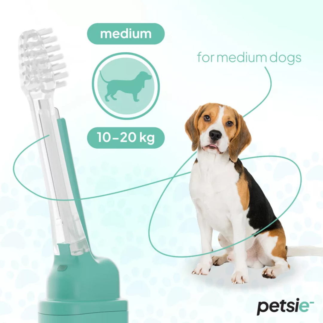 Petsie Toothbrush Replacement Head Pack of 2