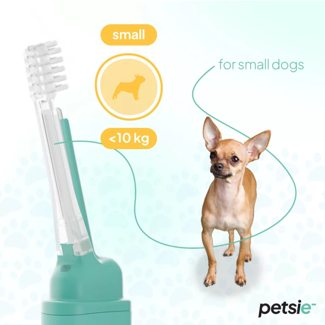 Petsie Toothbrush Replacement Head Pack of 2