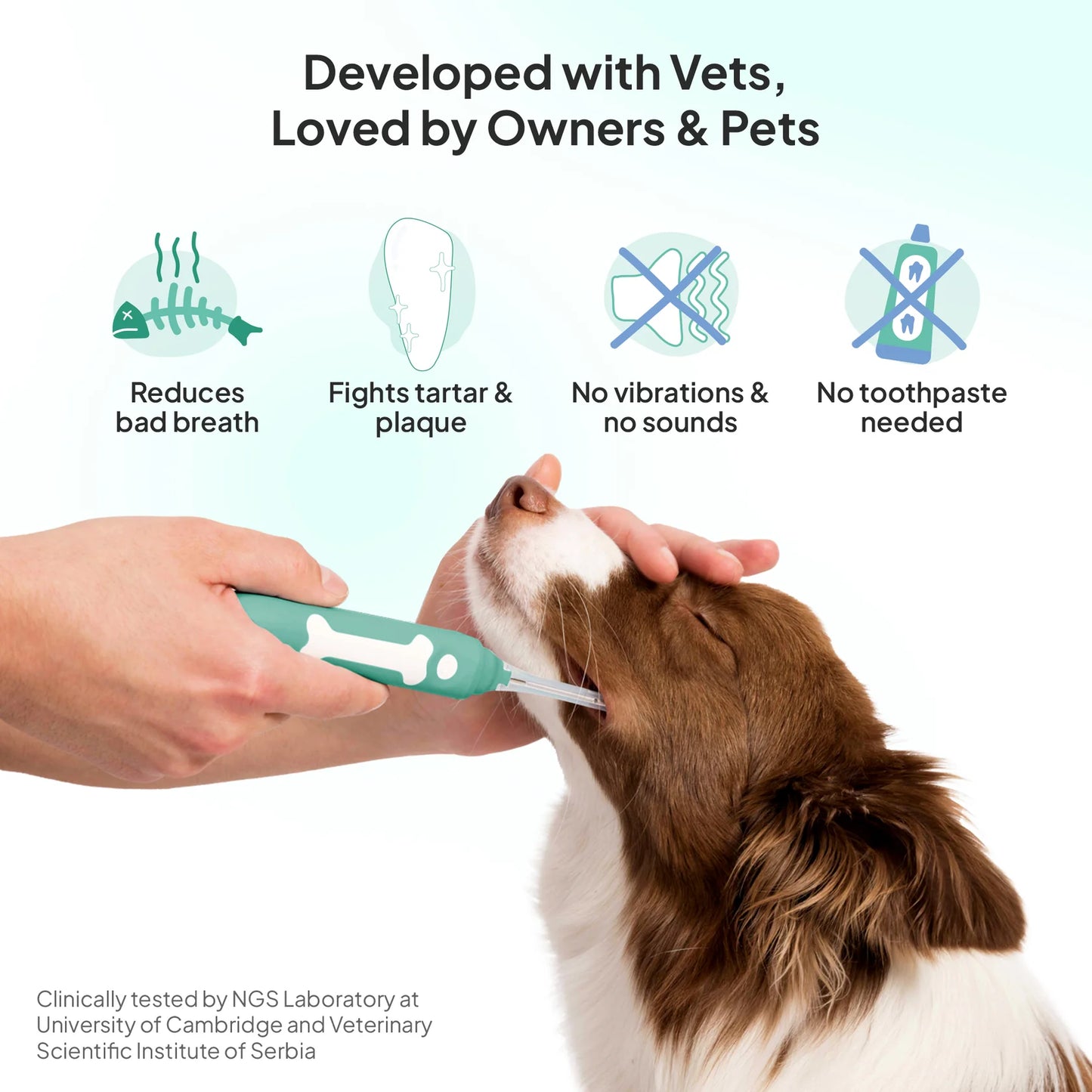 Petsie Revolutionary Dog Toothbrush (No Vibrations, Silent Teeth Cleaning & No Toothpaste Needed)