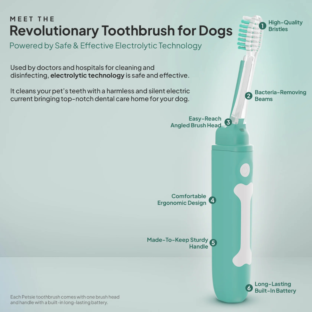 Petsie Toothbrush Replacement Head Pack of 2