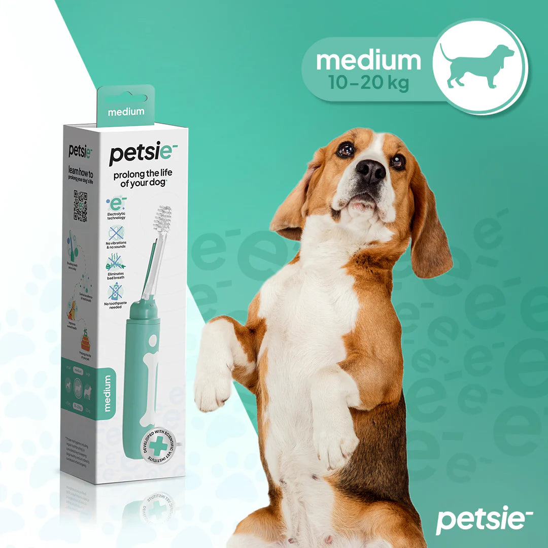 Petsie Revolutionary Dog Toothbrush (No Vibrations, Silent Teeth Cleaning & No Toothpaste Needed)