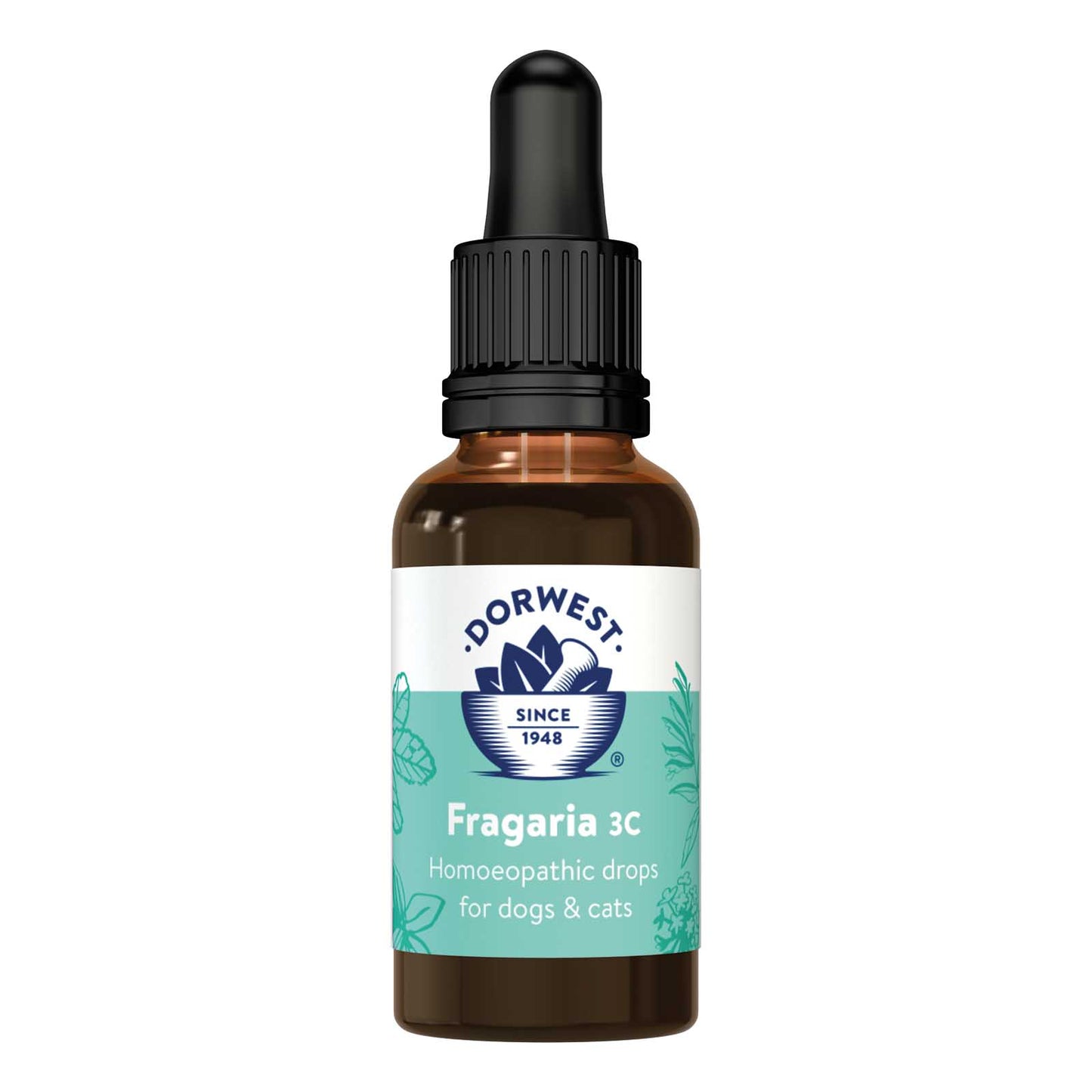 Dorwest Fragaria 3C 15ml Liquid (Remove tartar)