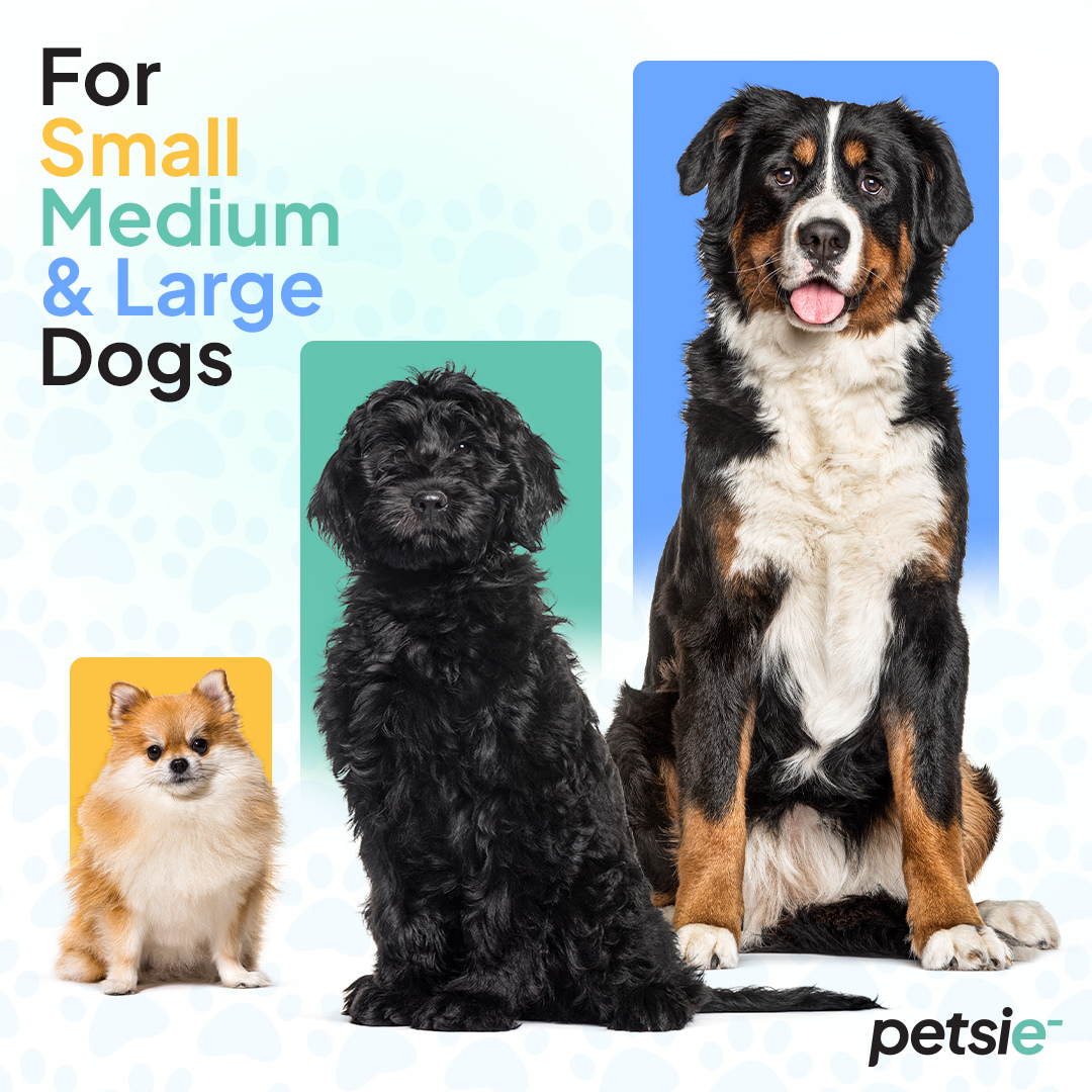 Petsie Revolutionary Dog Toothbrush (No Vibrations, Silent Teeth Cleaning & No Toothpaste Needed)