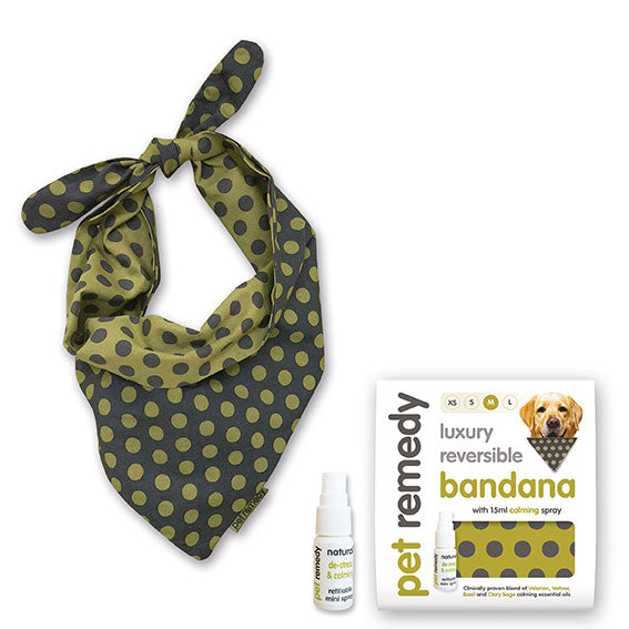 Pet Remedy Training Calming Kit
