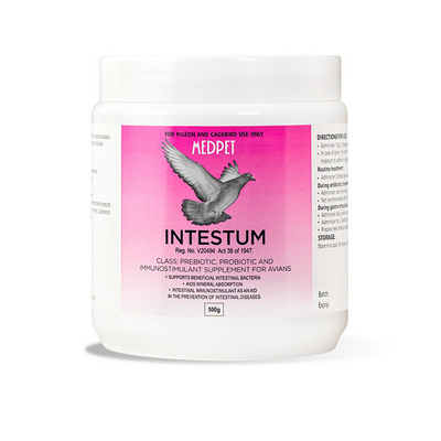 Medpet Intestum for Cagebirds & Pigeons 500g Powder (Prebiotic, Probiotic & Immunostimulant)