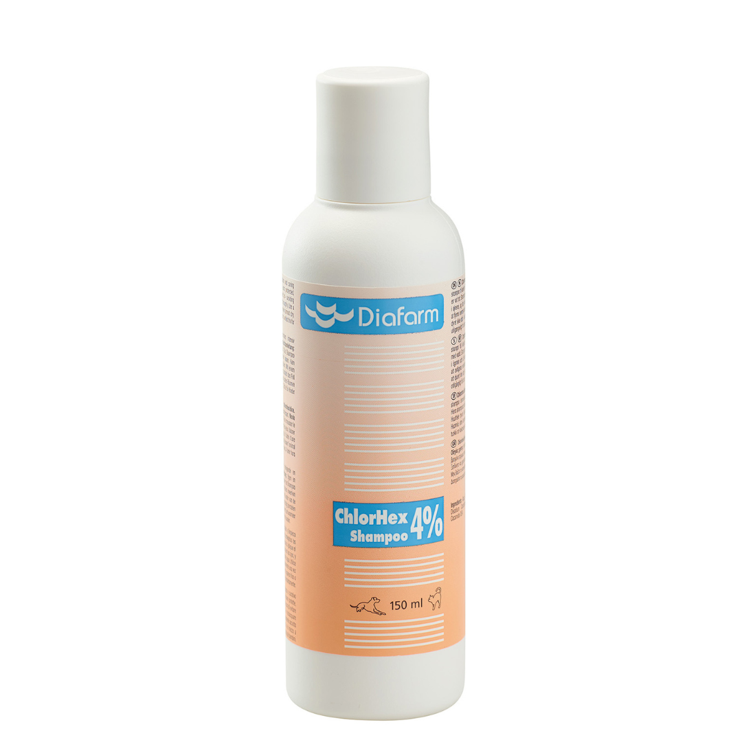 Chlorhexidine shampoo for sales cats