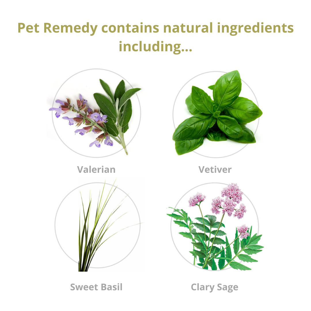 Pet Remedy 3 in 1 Calming Grooming Kit