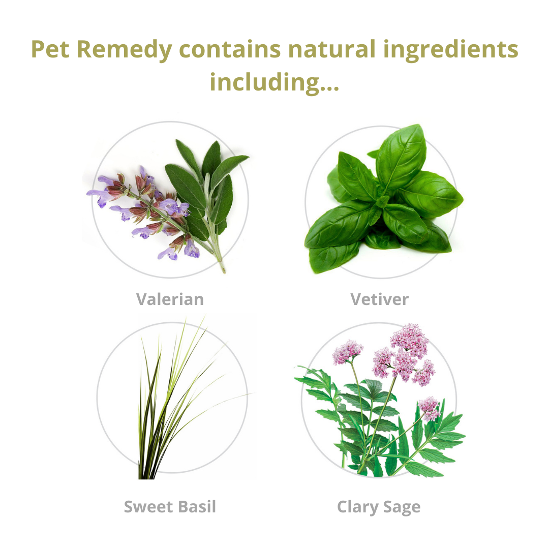 Pet Remedy Calming Spray 200ml