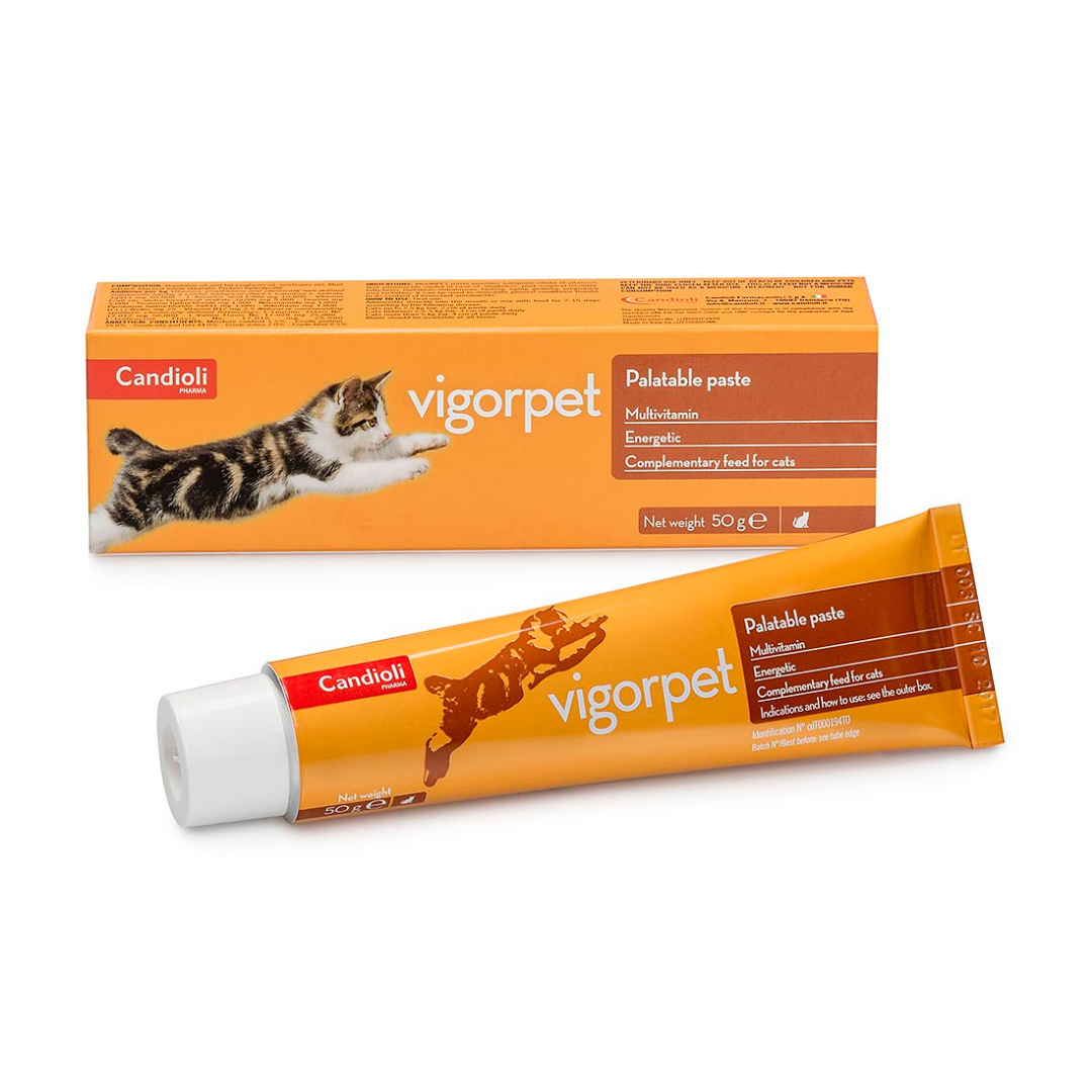Candioli Vigorpet Multivitamin & Energy Supplement