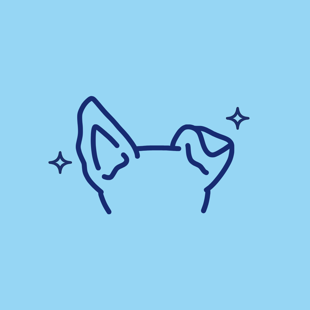 Ear Care