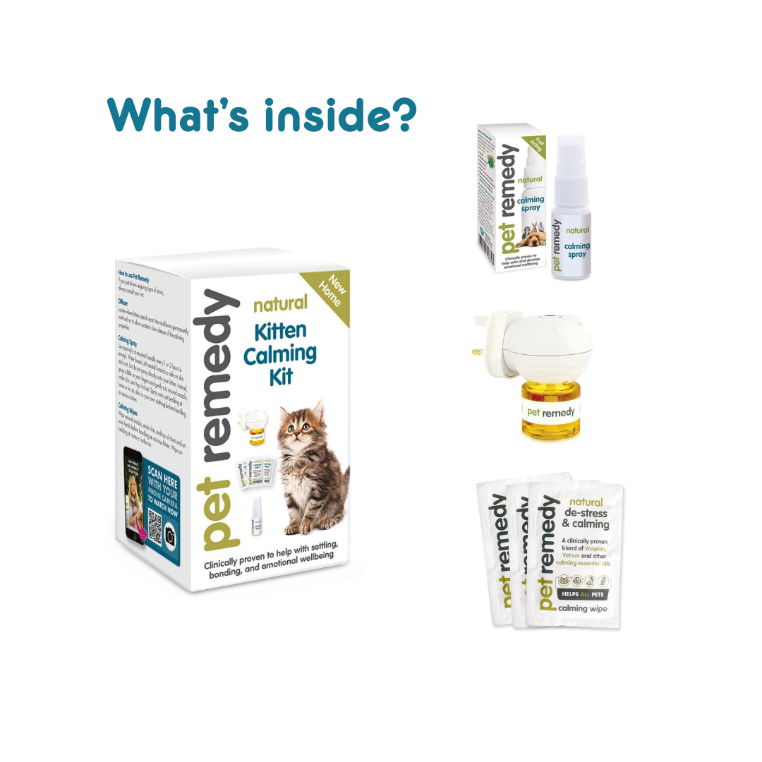 Pet Remedy Kitten Calming Kit