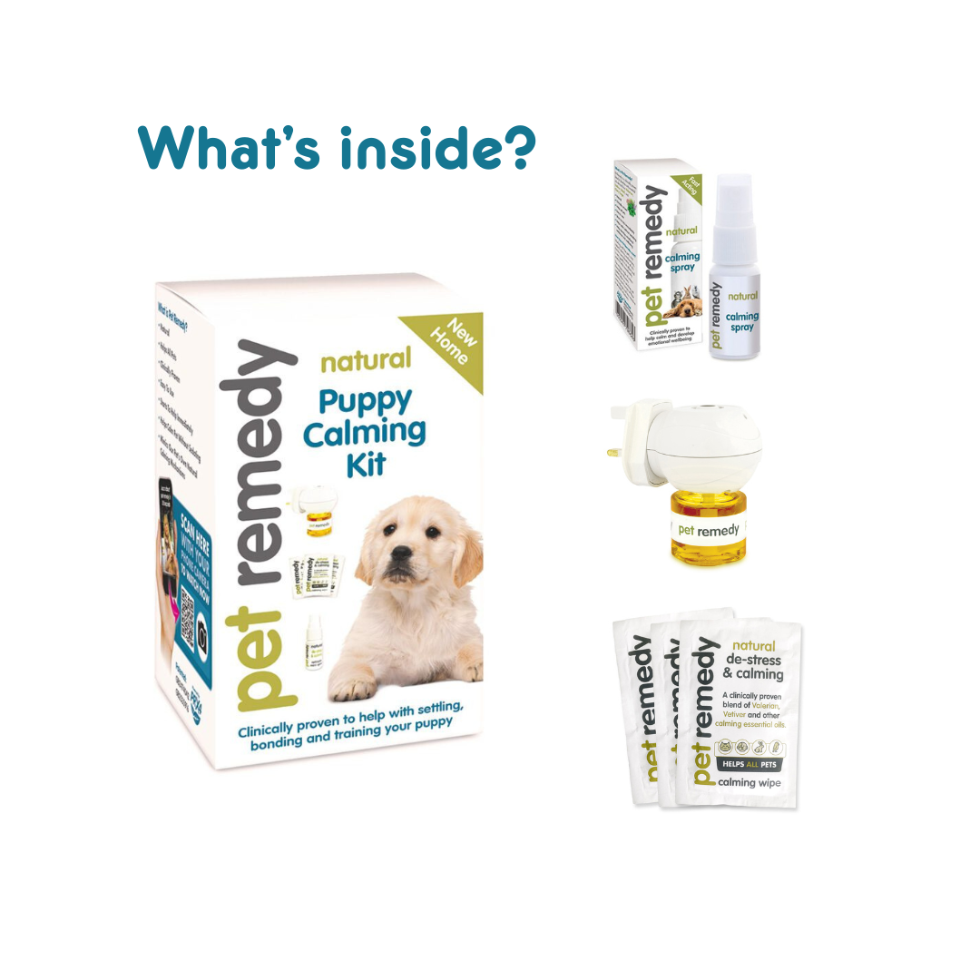 Pet Remedy Puppy Calming Kit