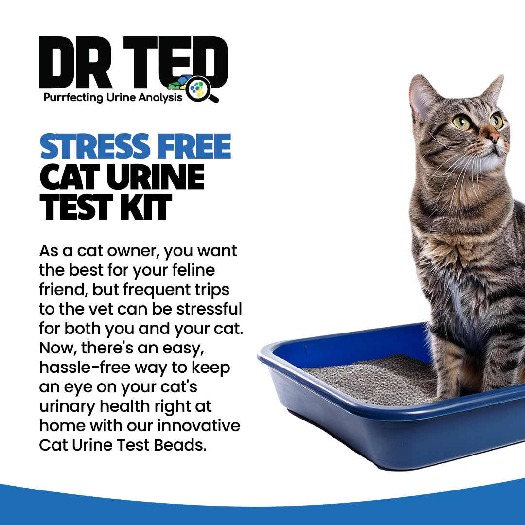 Dr Ted Cat Urine Test Kit Hematuria/Blood Detector