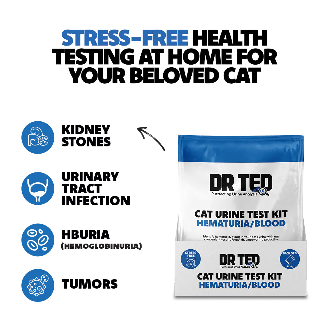 Dr Ted Cat Urine Test Kit Hematuria/Blood Detector