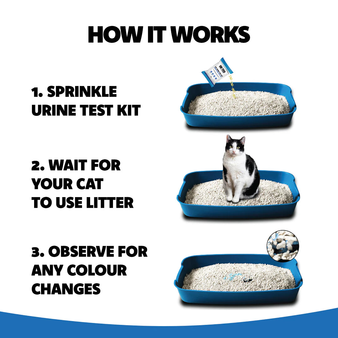 Dr Ted Cat Urine Test Kit Hematuria/Blood Detector