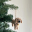 Felt Ornament - Dachshund Dogs
