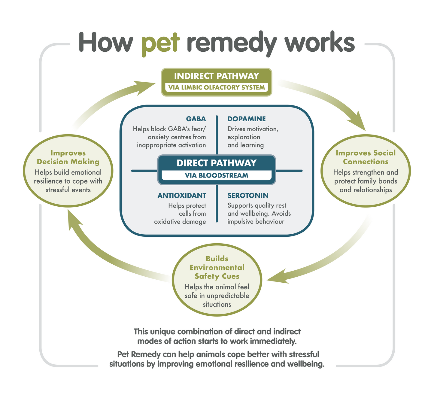 Pet Remedy Kitten Calming Kit