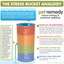 Pet Remedy Bird Calming Kit