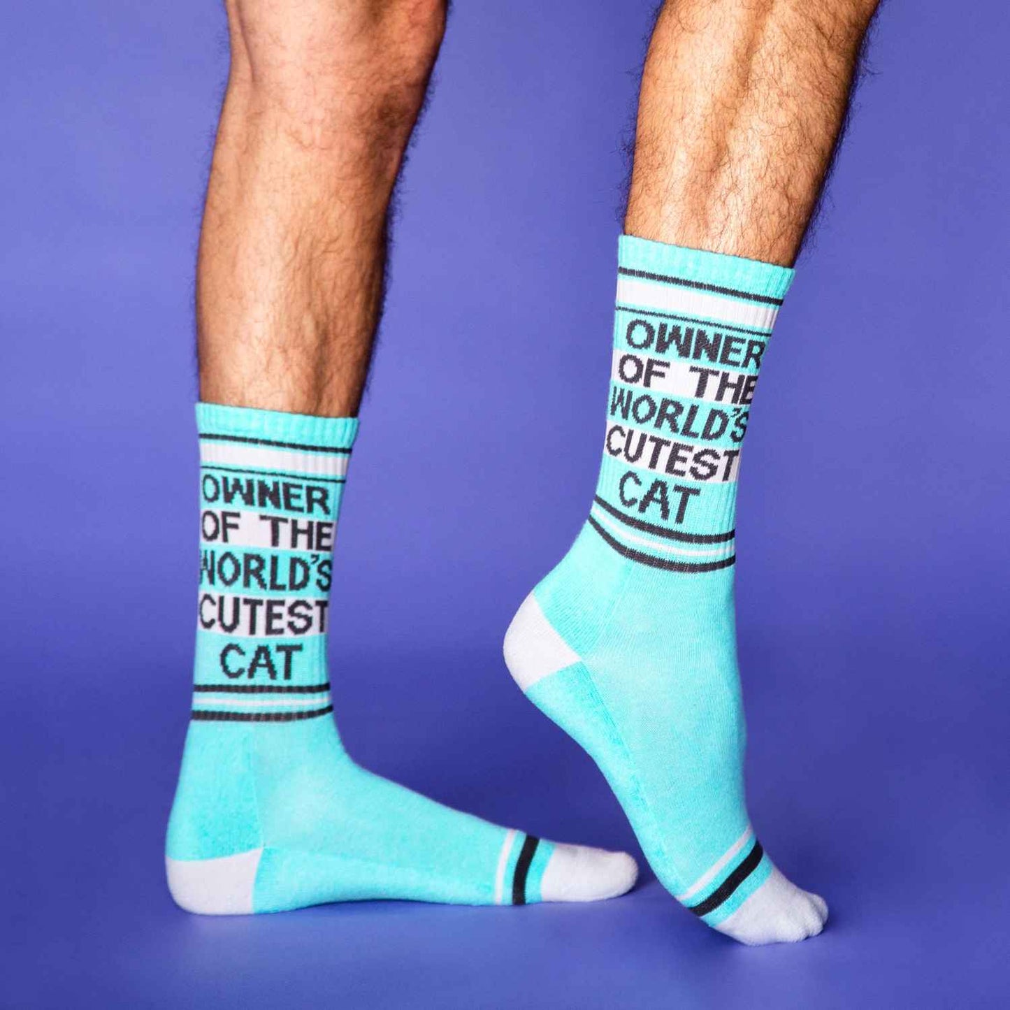 Gumball Poodle Owner Of The World's Cutest Cat Gym Crew Socks