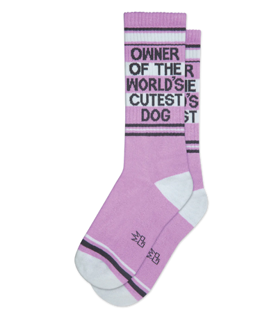 Gumball Poodle Owner Of The World's Cutest Dog Gym Crew Socks