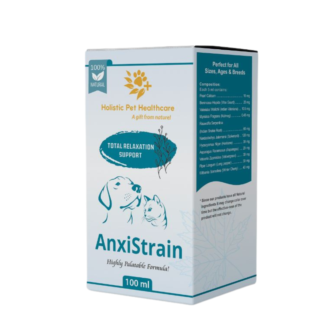 Holistic Pet Healthcare AnxiStrain Syrup 100ml (Relaxation Support)